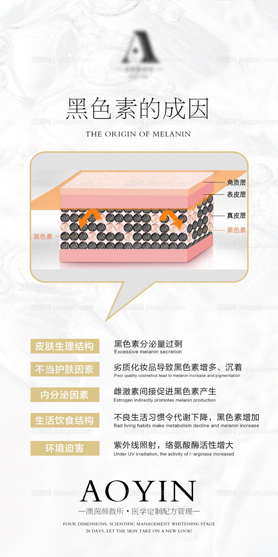 皮肤管理科普黑色素的成因小常识海报-源文件