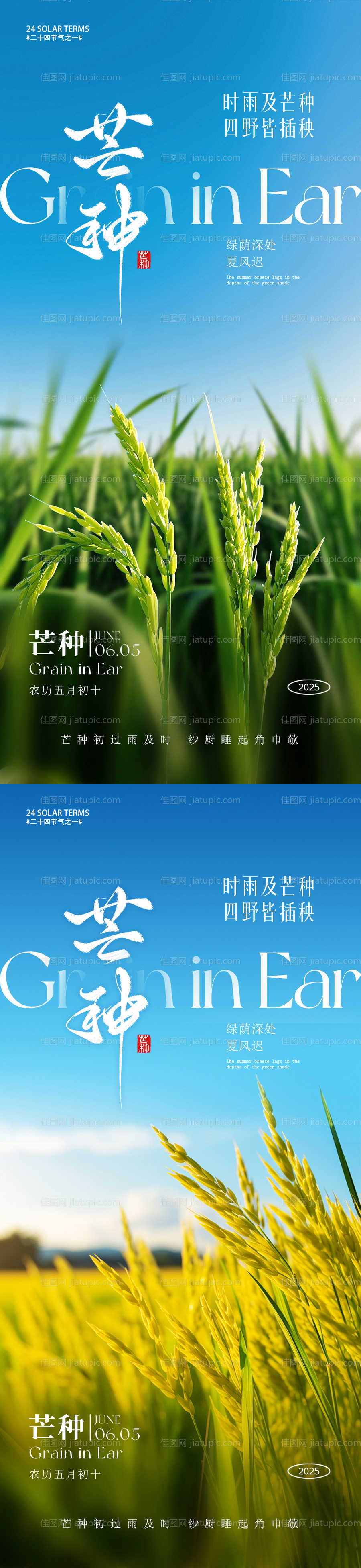 芒种海报-源文件