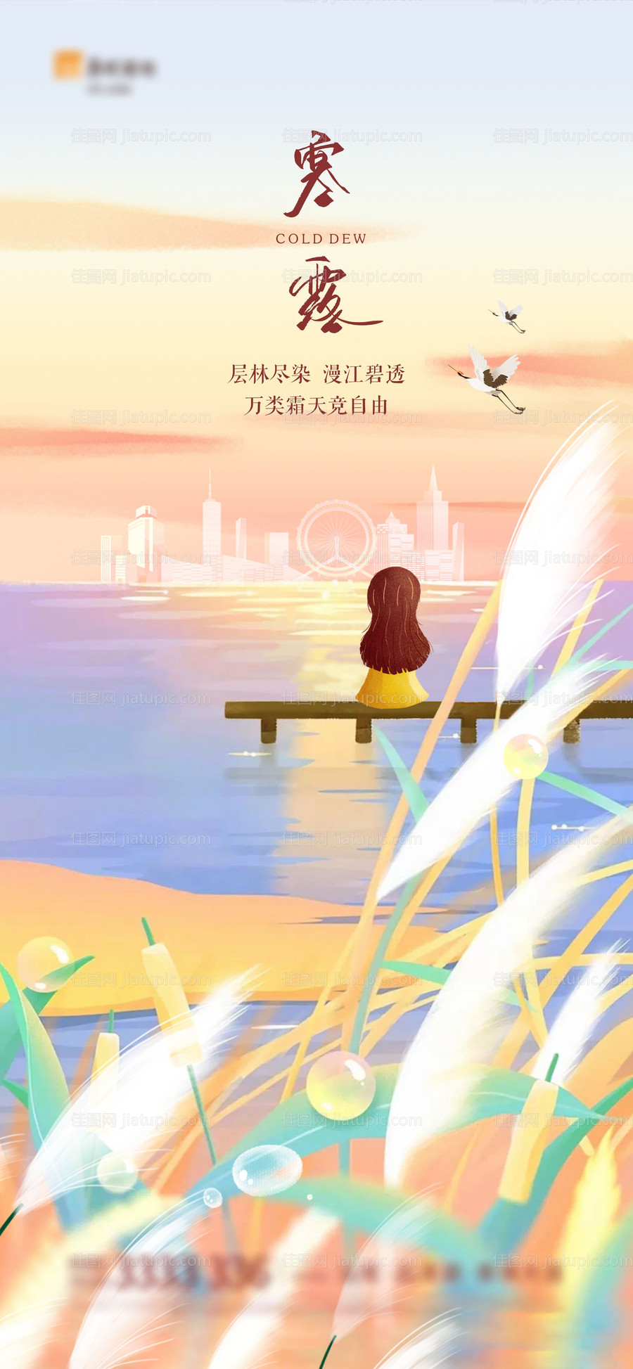 寒露海报-源文件