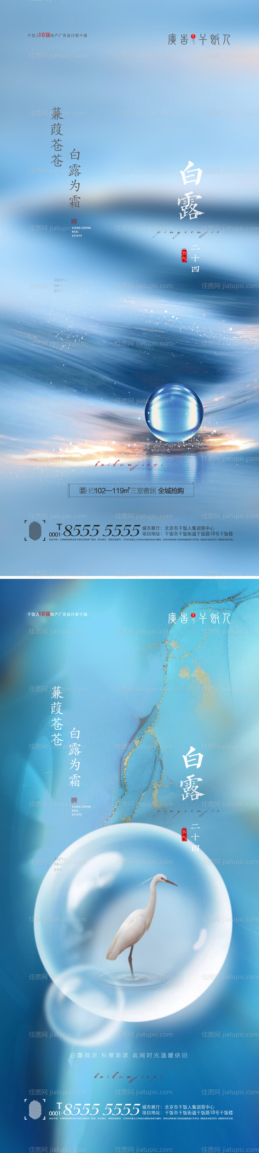 白露节气海报-源文件