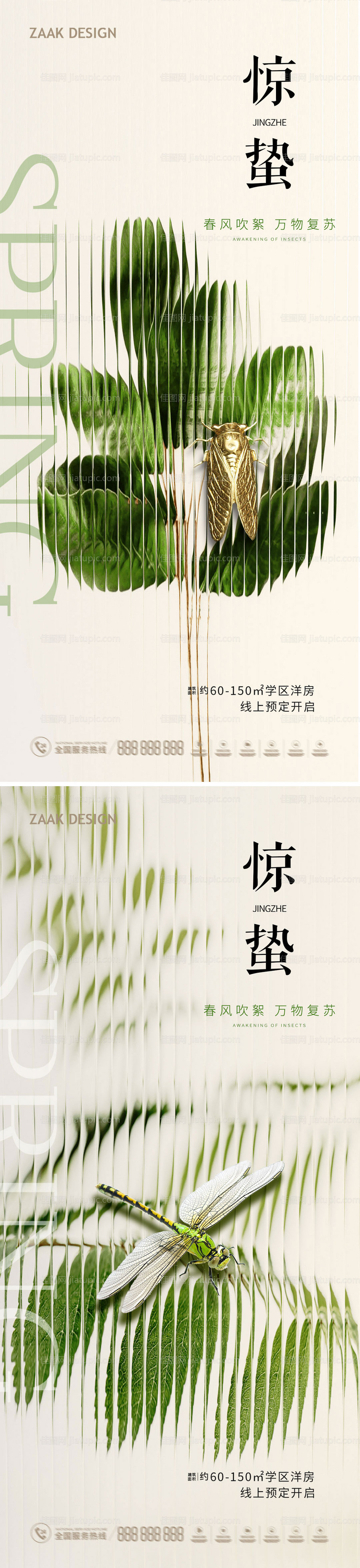 惊蛰节气海报-源文件