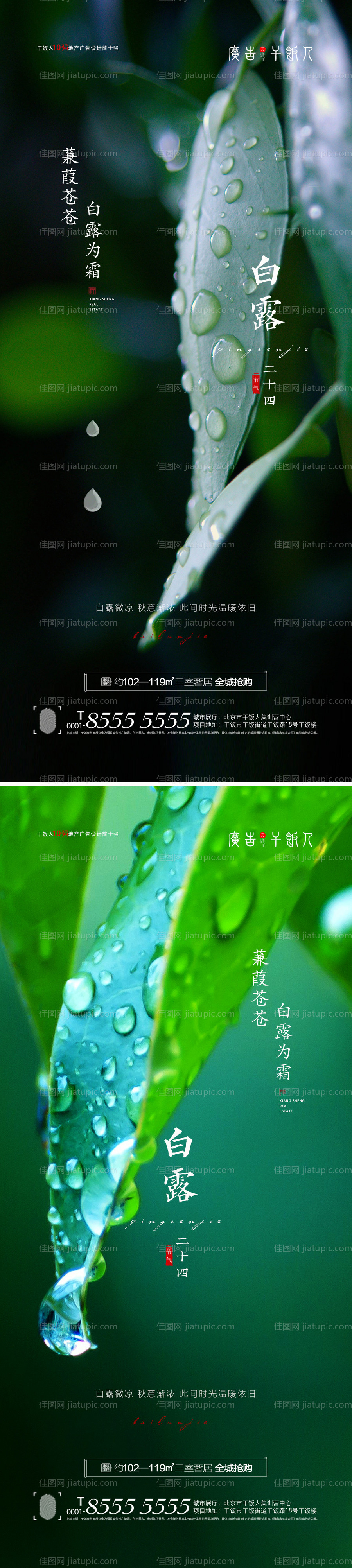 地产白露寒露节气海报-源文件