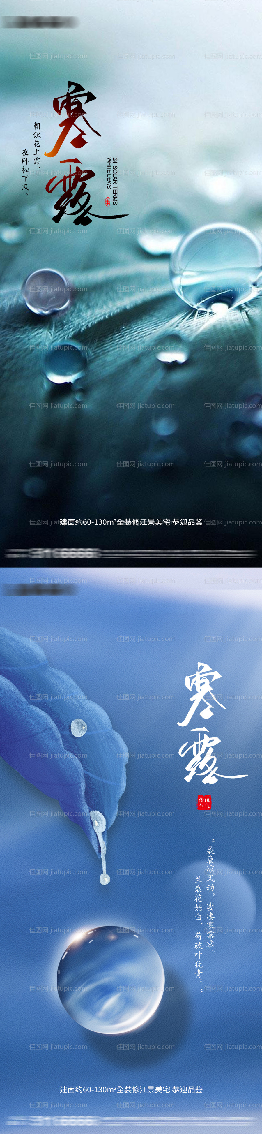 寒露节气-源文件