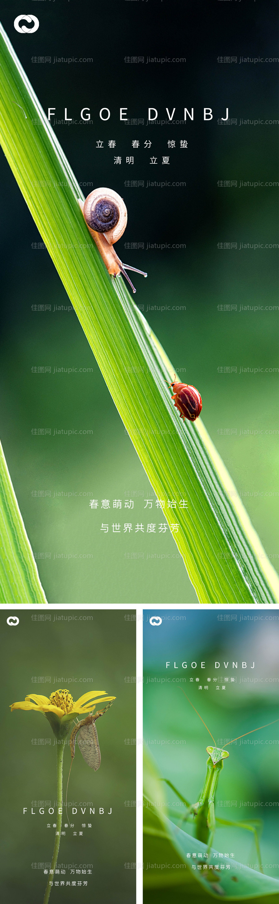 惊蛰立春春分清明立夏节气系列海报-源文件