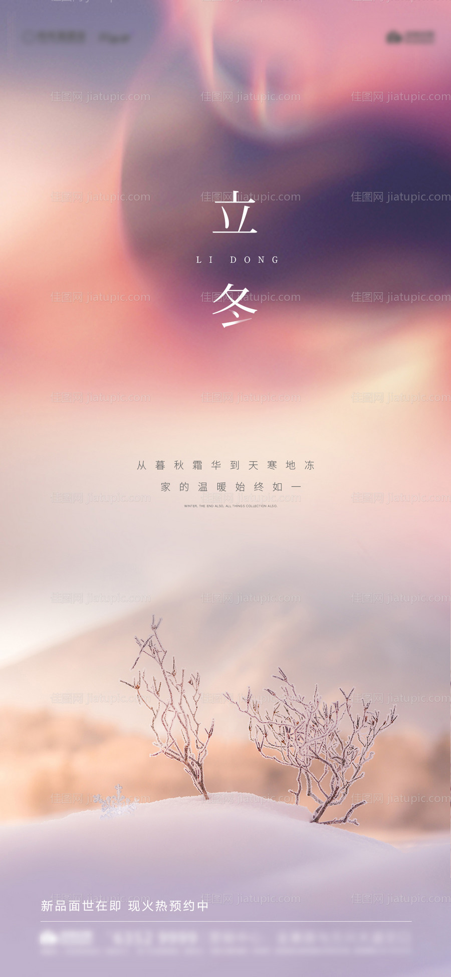 炫彩极光立冬节气移动端海报-源文件