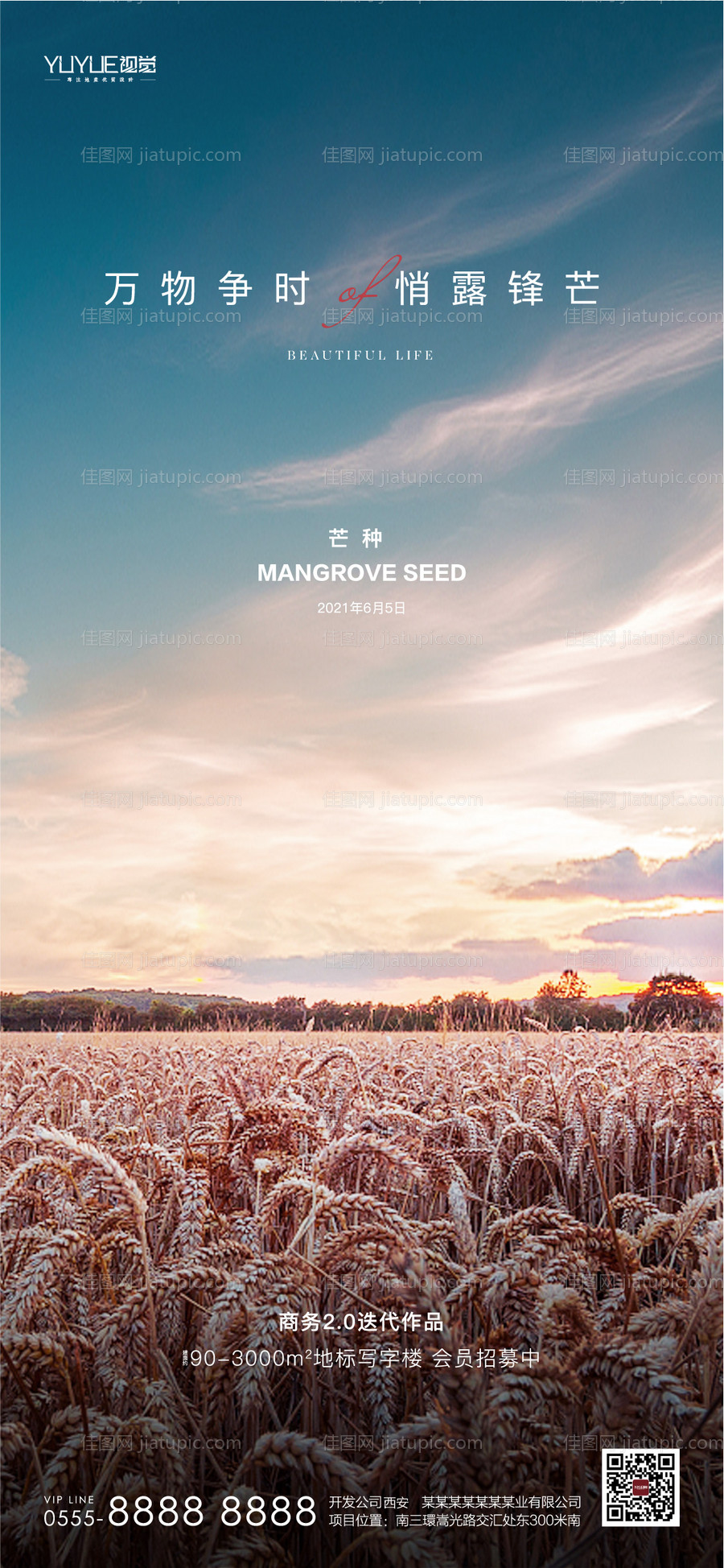 芒种节气海报-源文件