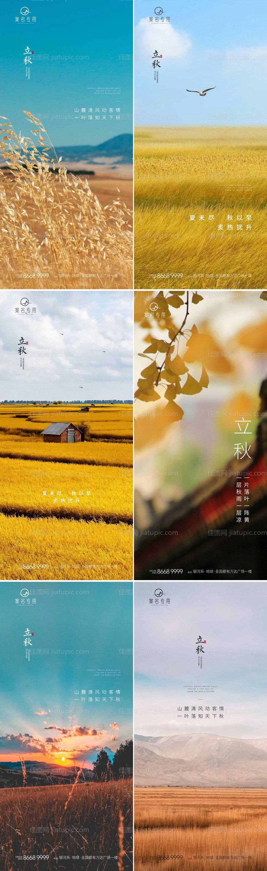立秋节气海报-源文件