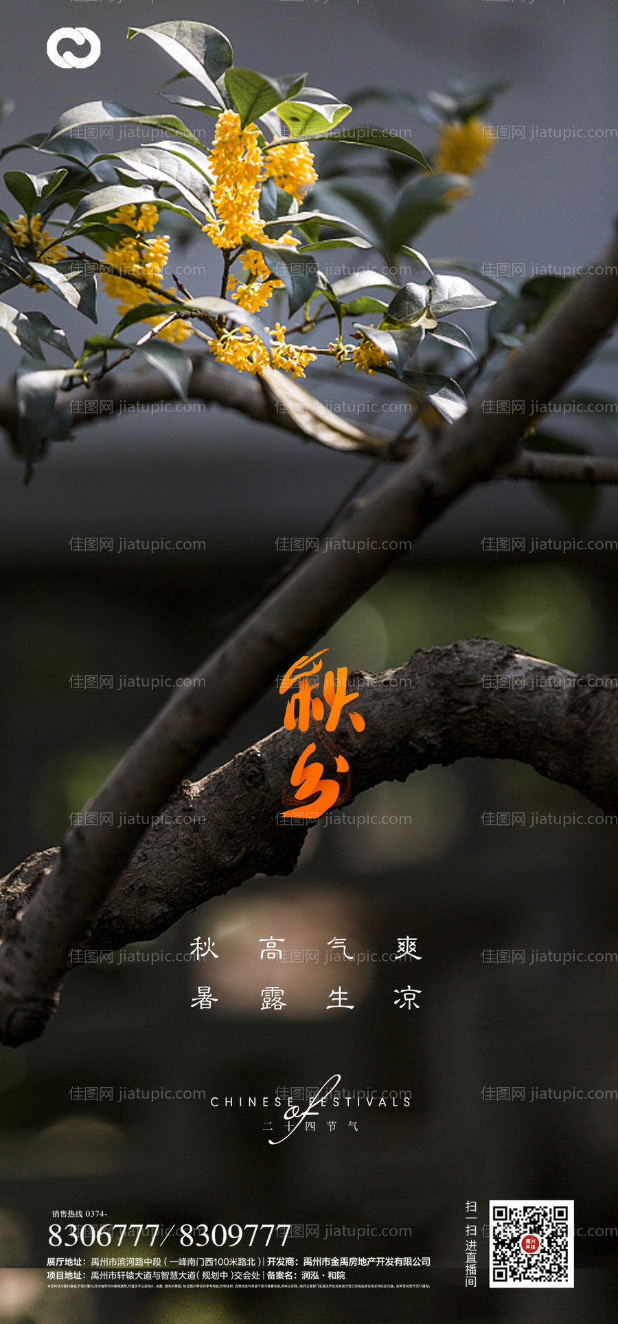 秋分节气海报-源文件