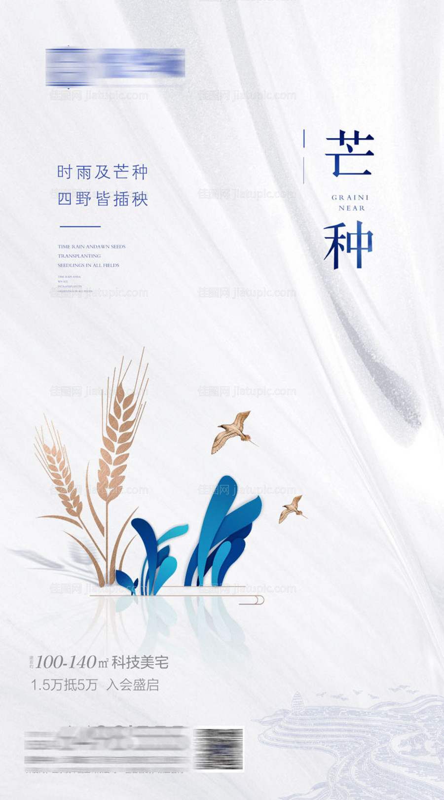 芒种节气移动端海报-源文件