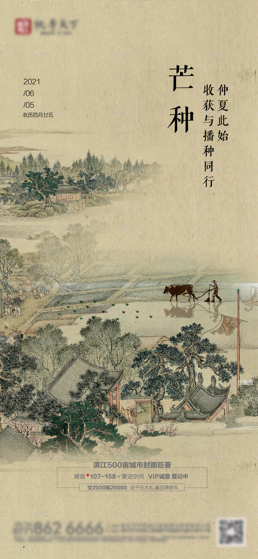 芒种节气海报-源文件