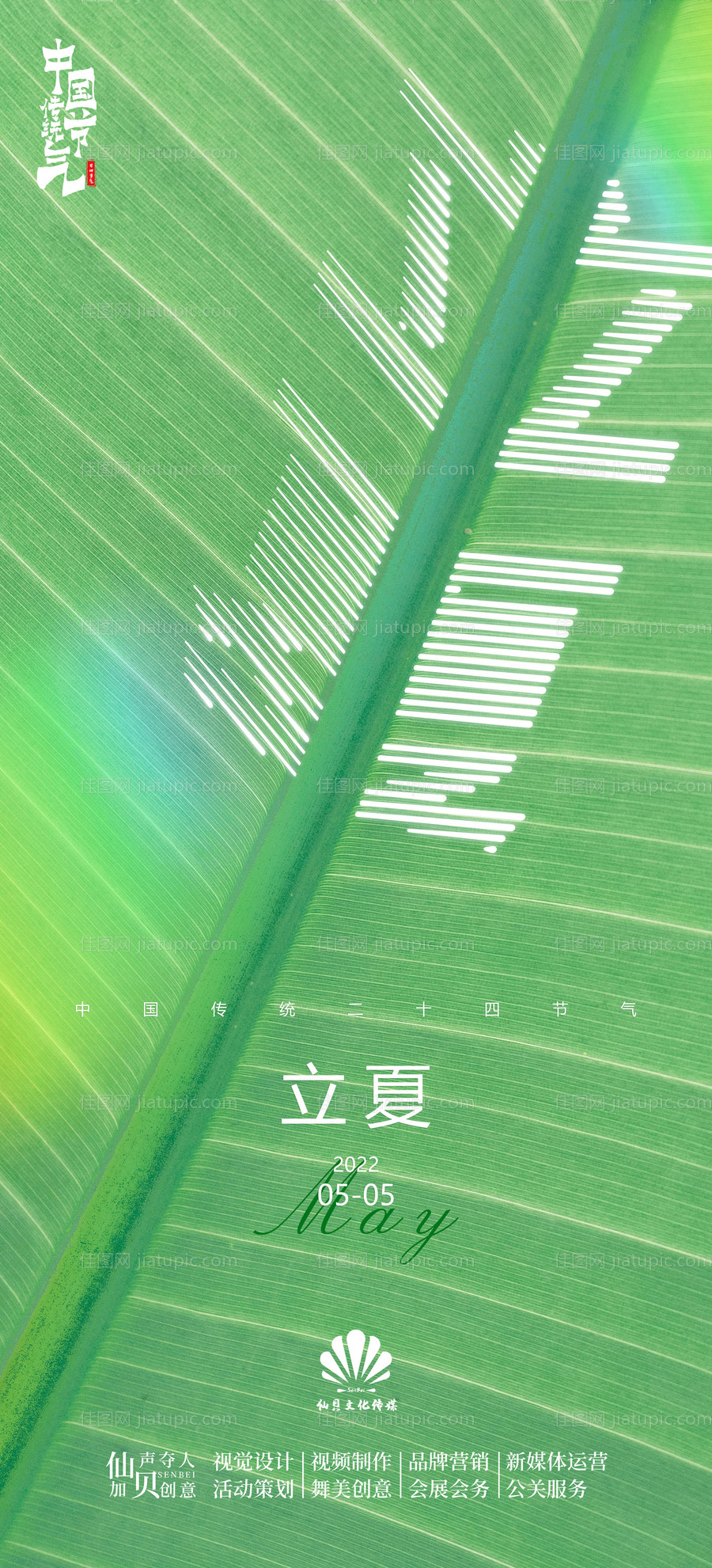 立夏节气海报-源文件