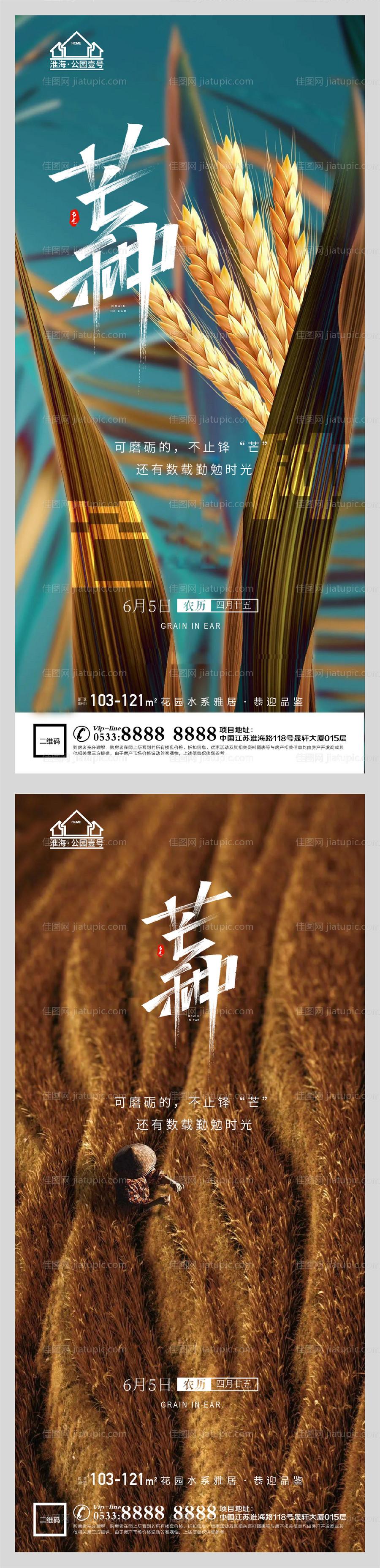 地产节气芒种海报-源文件