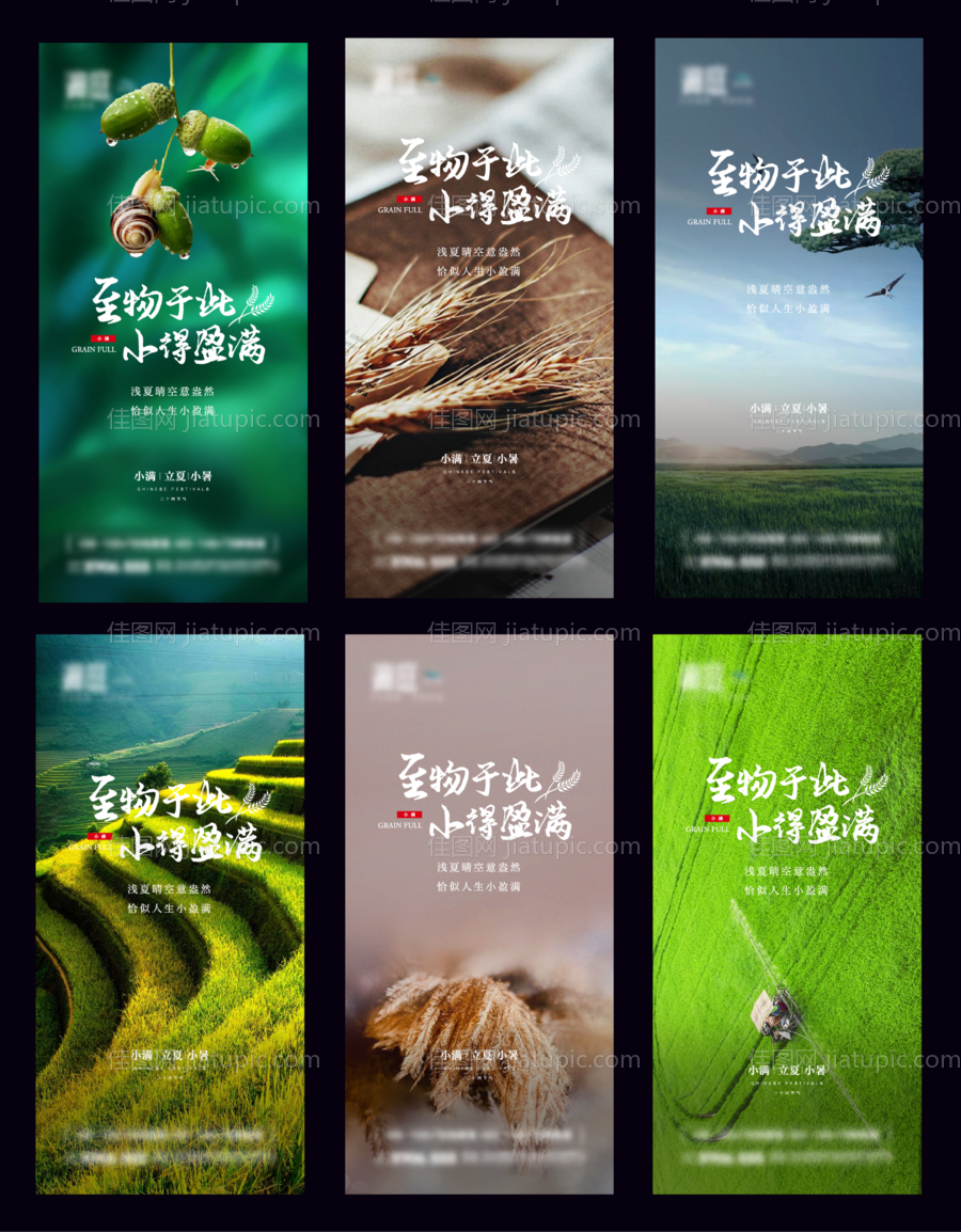 芒种小满立秋节气系列海报-源文件