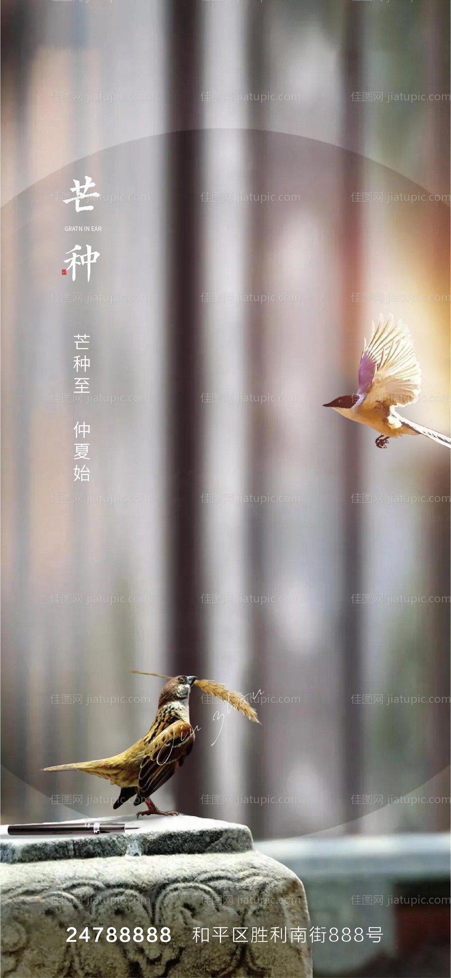 地产芒种节气海报-源文件