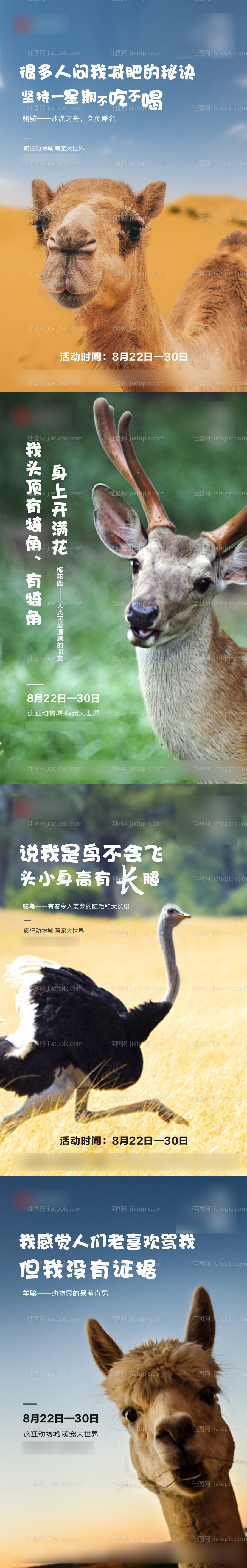 动物单图刷屏海报-源文件