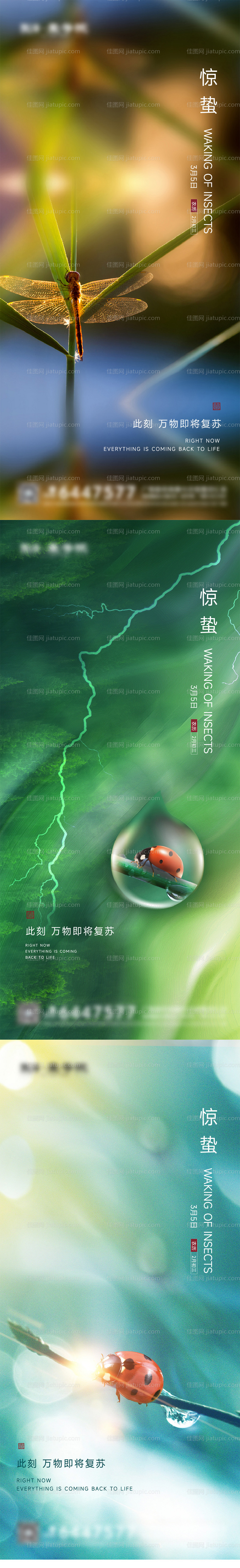 惊蛰节气海报-源文件