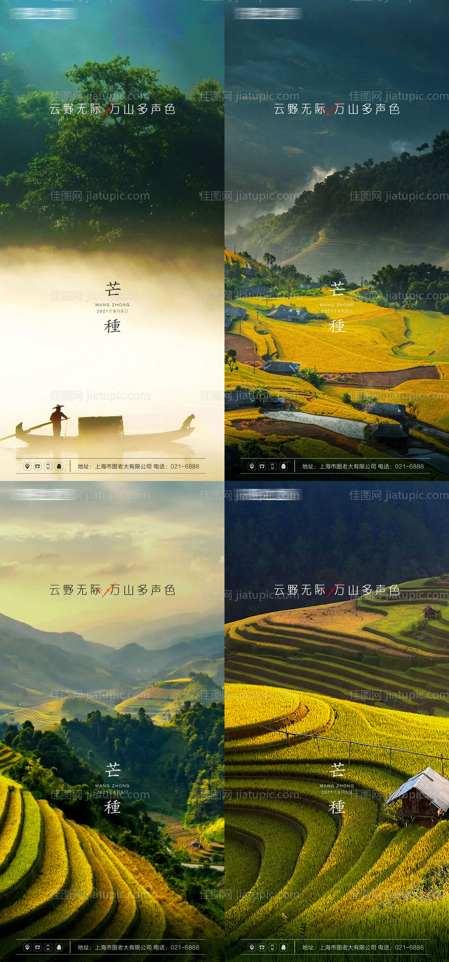 芒种节气海报系列-源文件