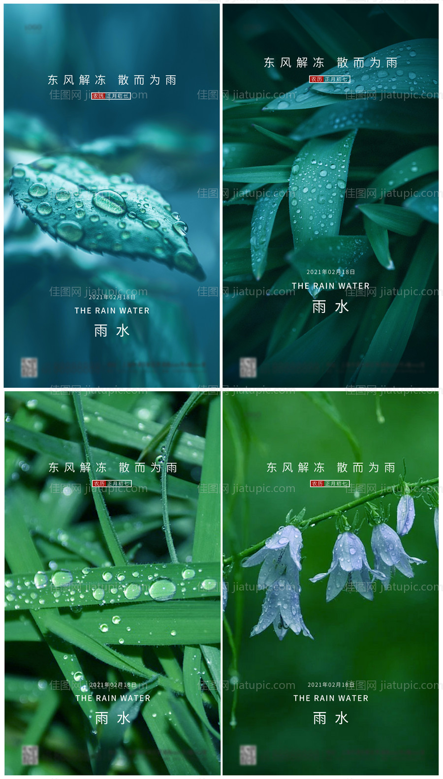 24节气雨水简约海报-源文件