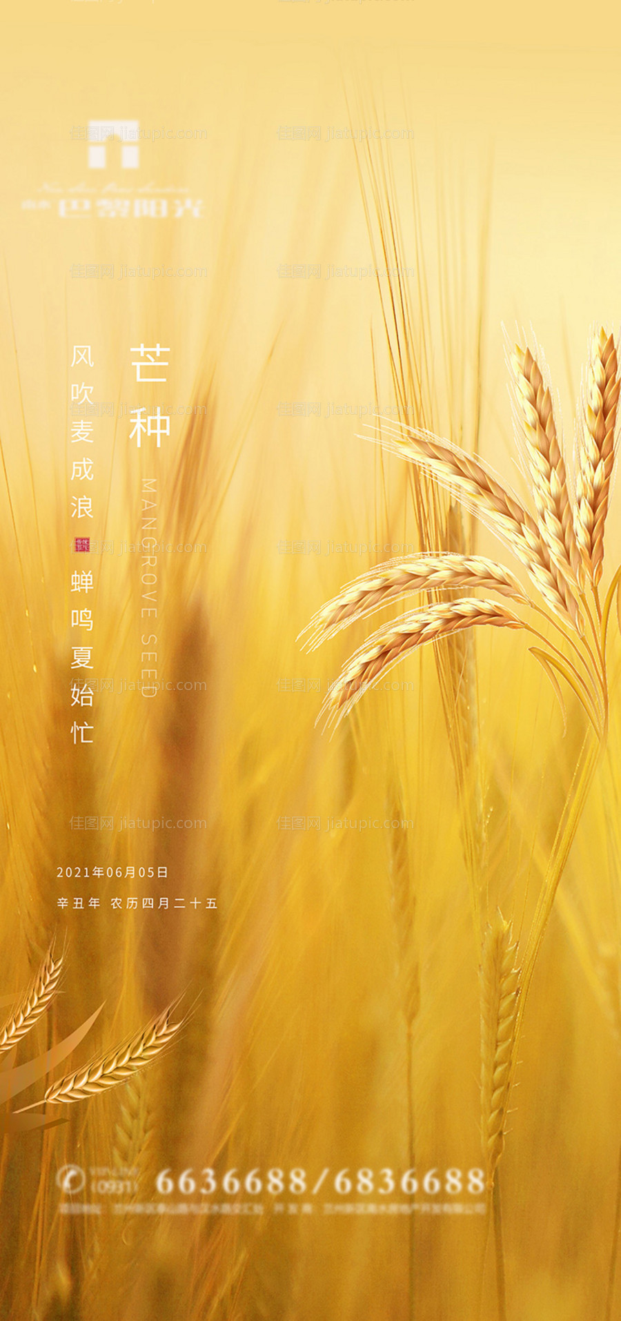 地产芒种节气海报-源文件