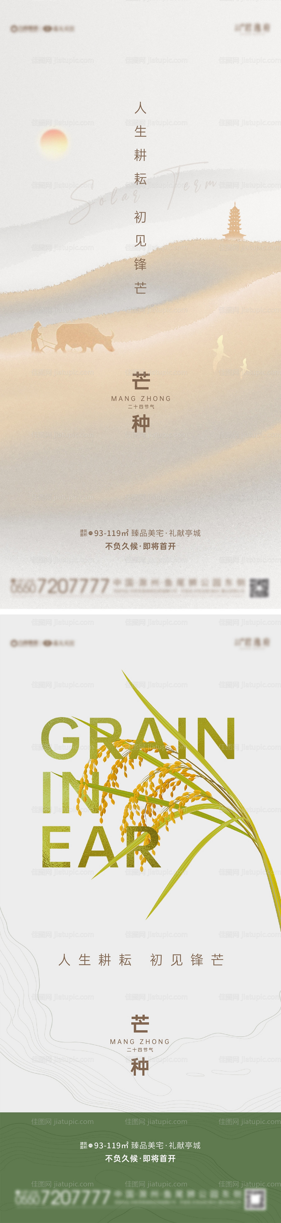 地产二十四节气芒种海报-源文件