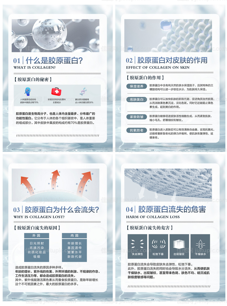 成分小常识海报-源文件