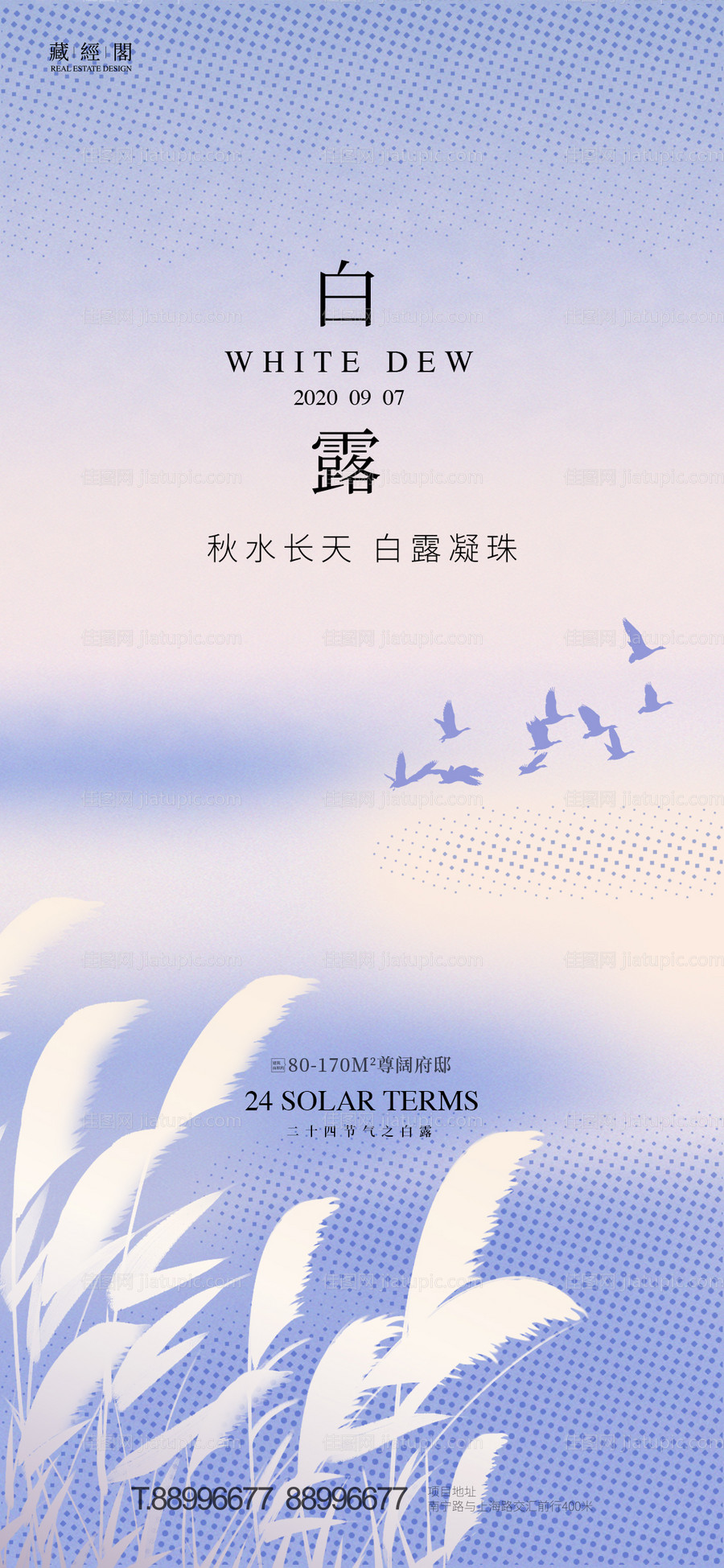 白露节气海报-源文件