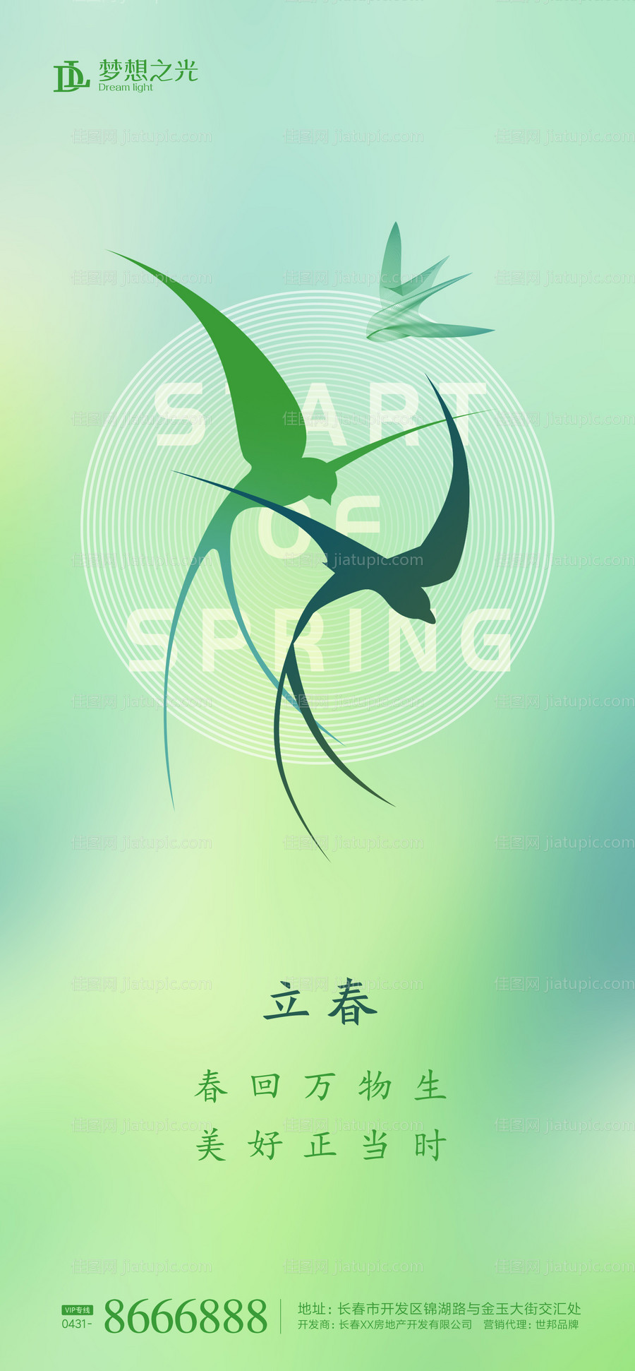 立春鸟剪影海报-源文件