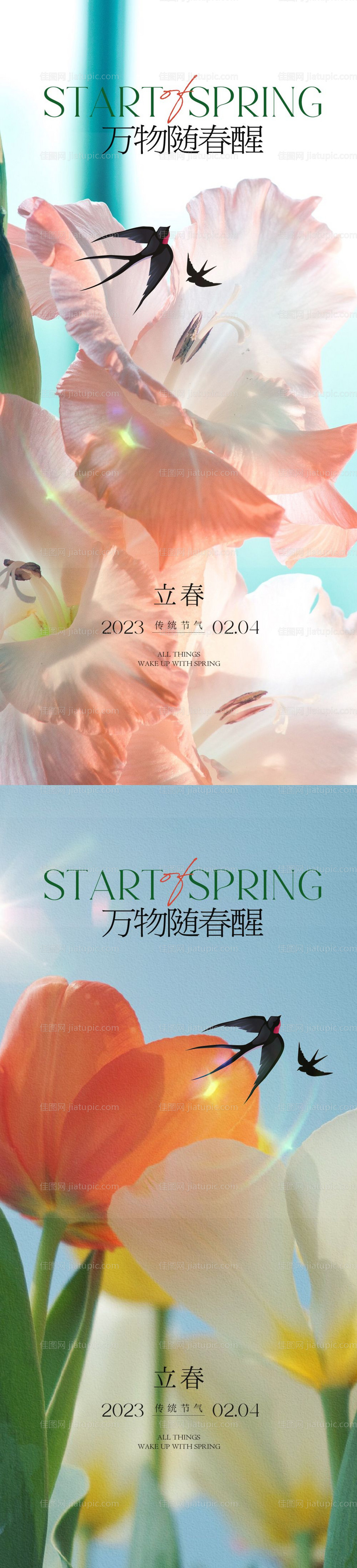立春系列海报-源文件