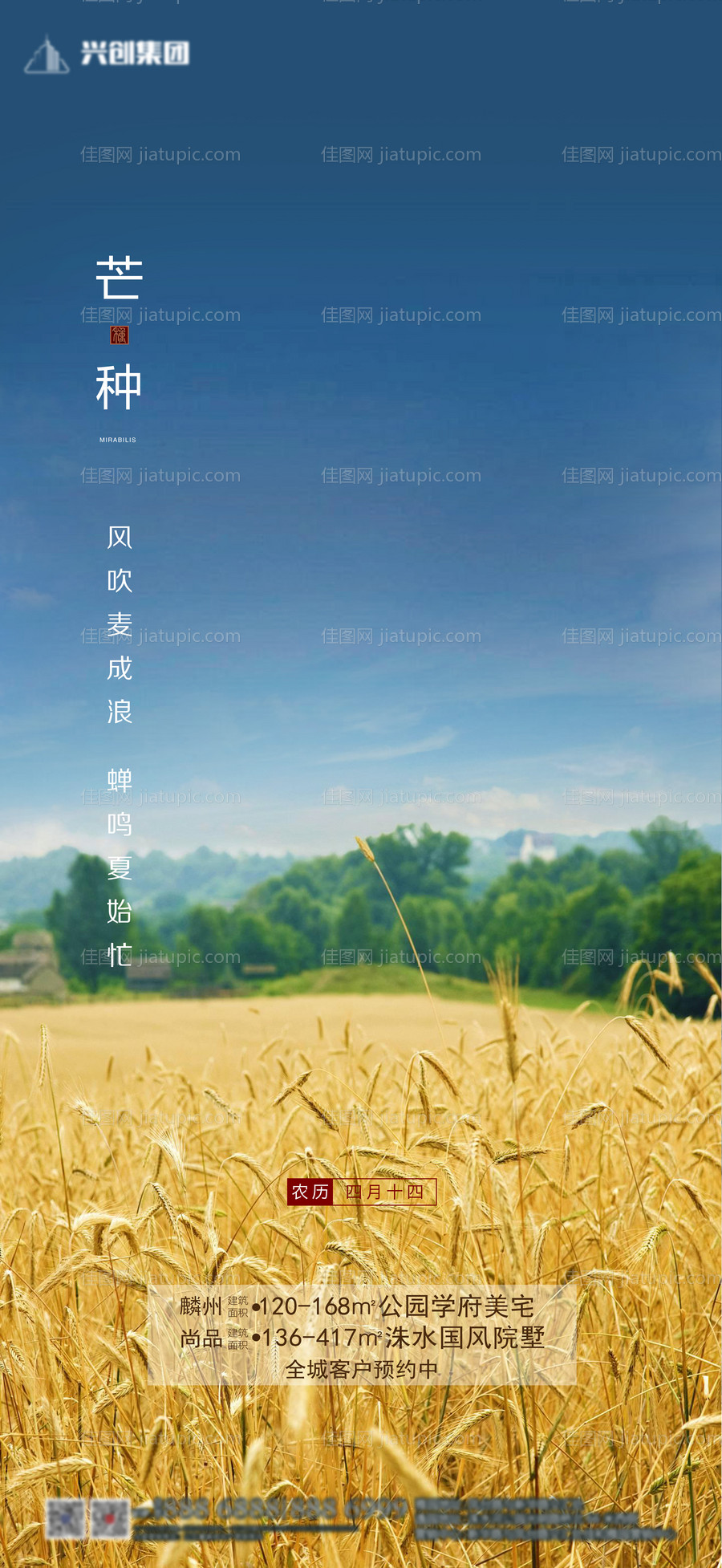 地产芒种节气海报-源文件