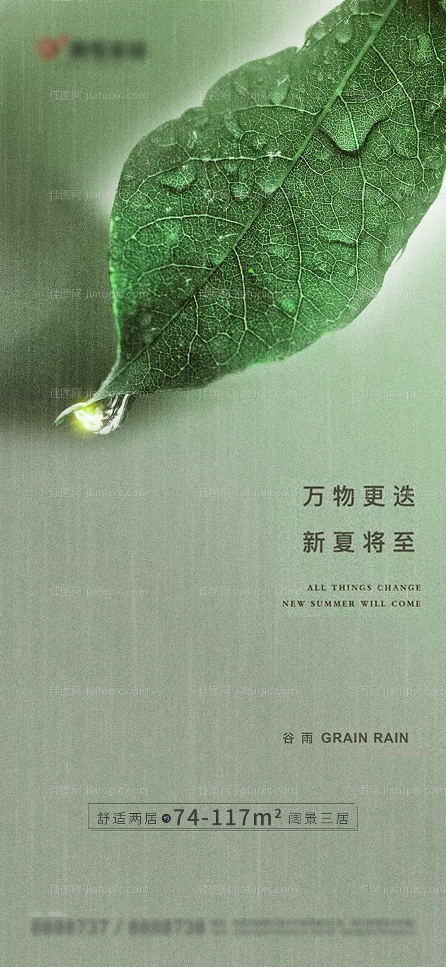 谷雨节气海报-源文件