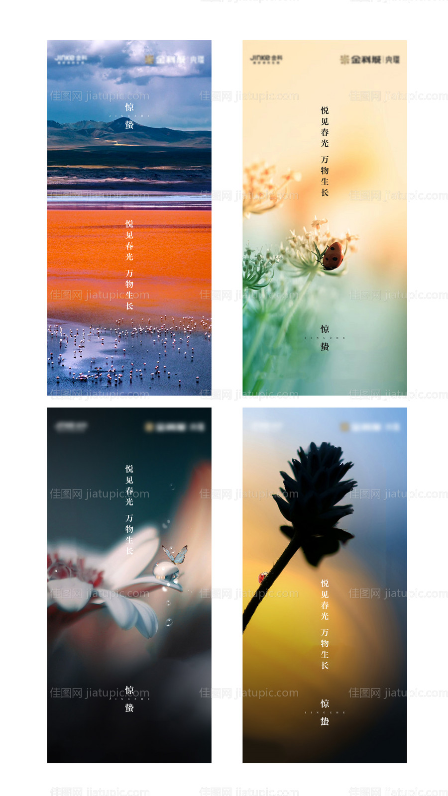 惊蛰节气系列海报-源文件