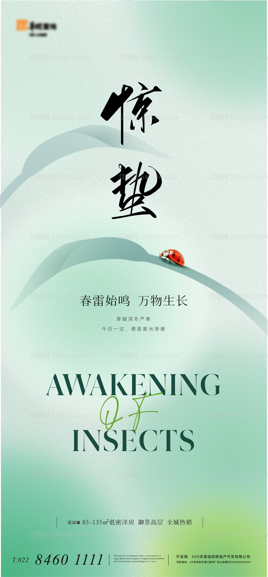 地产二十四节气惊蛰海报-源文件