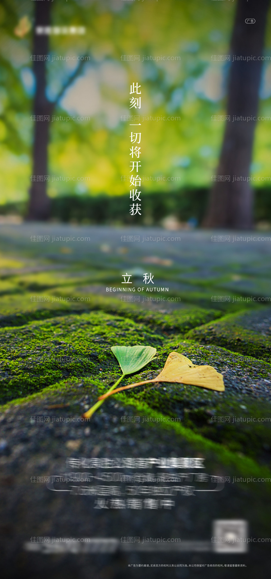 立秋节气海报-源文件