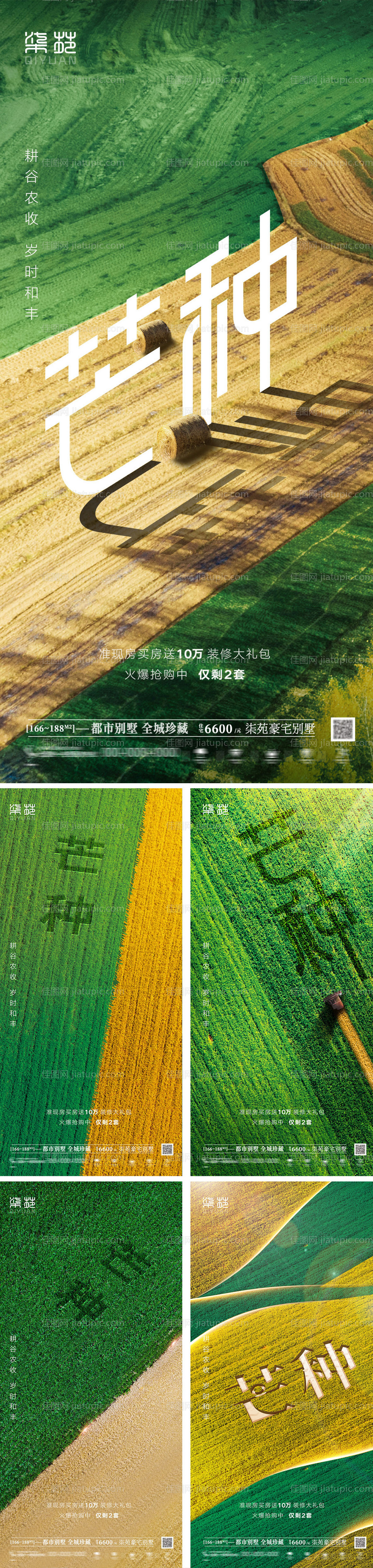 芒种海报-源文件