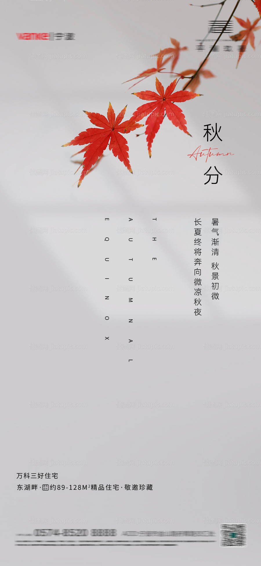 地产节气秋分微单-源文件