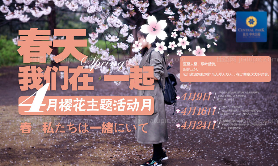 樱花节背景板-源文件