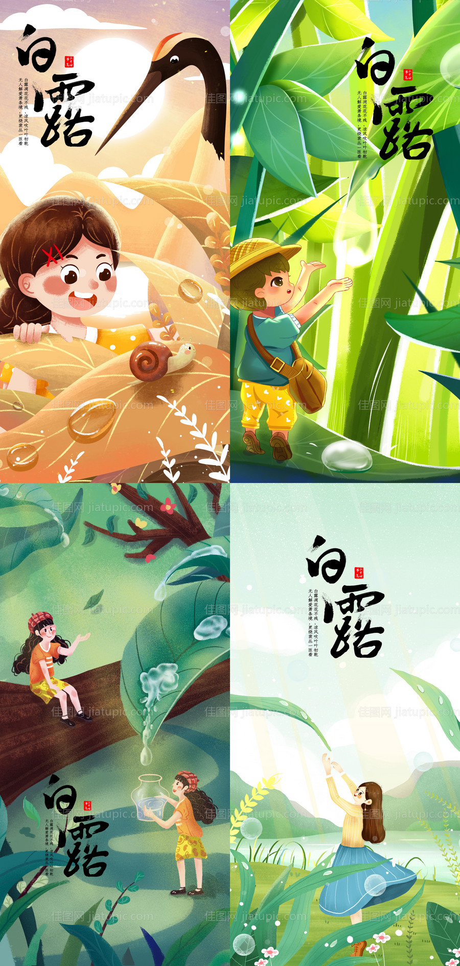 白露节气海报-源文件