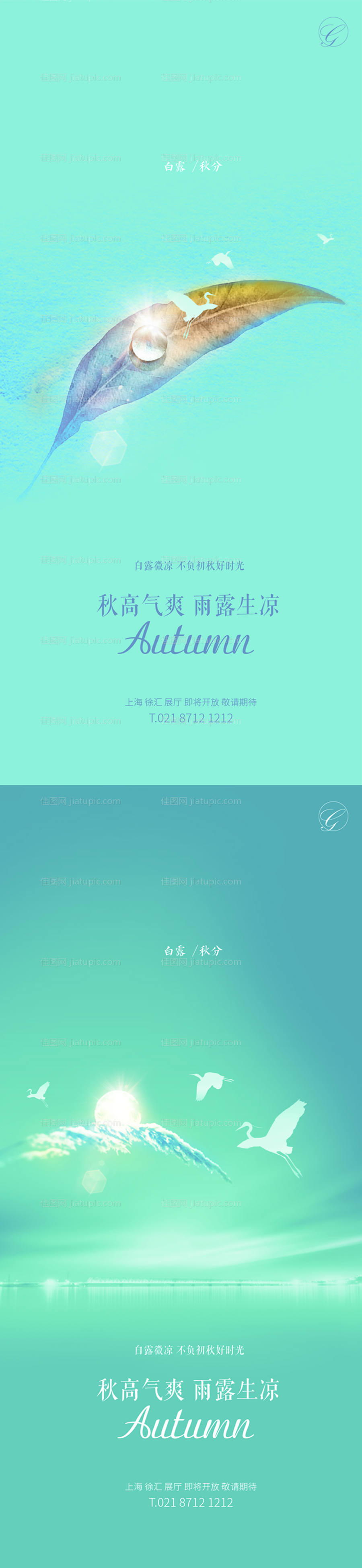 白露秋分节气系列海报-源文件