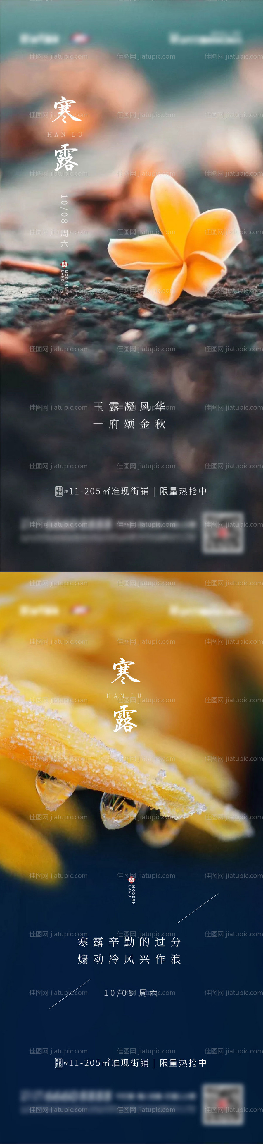 寒露节气稿-源文件