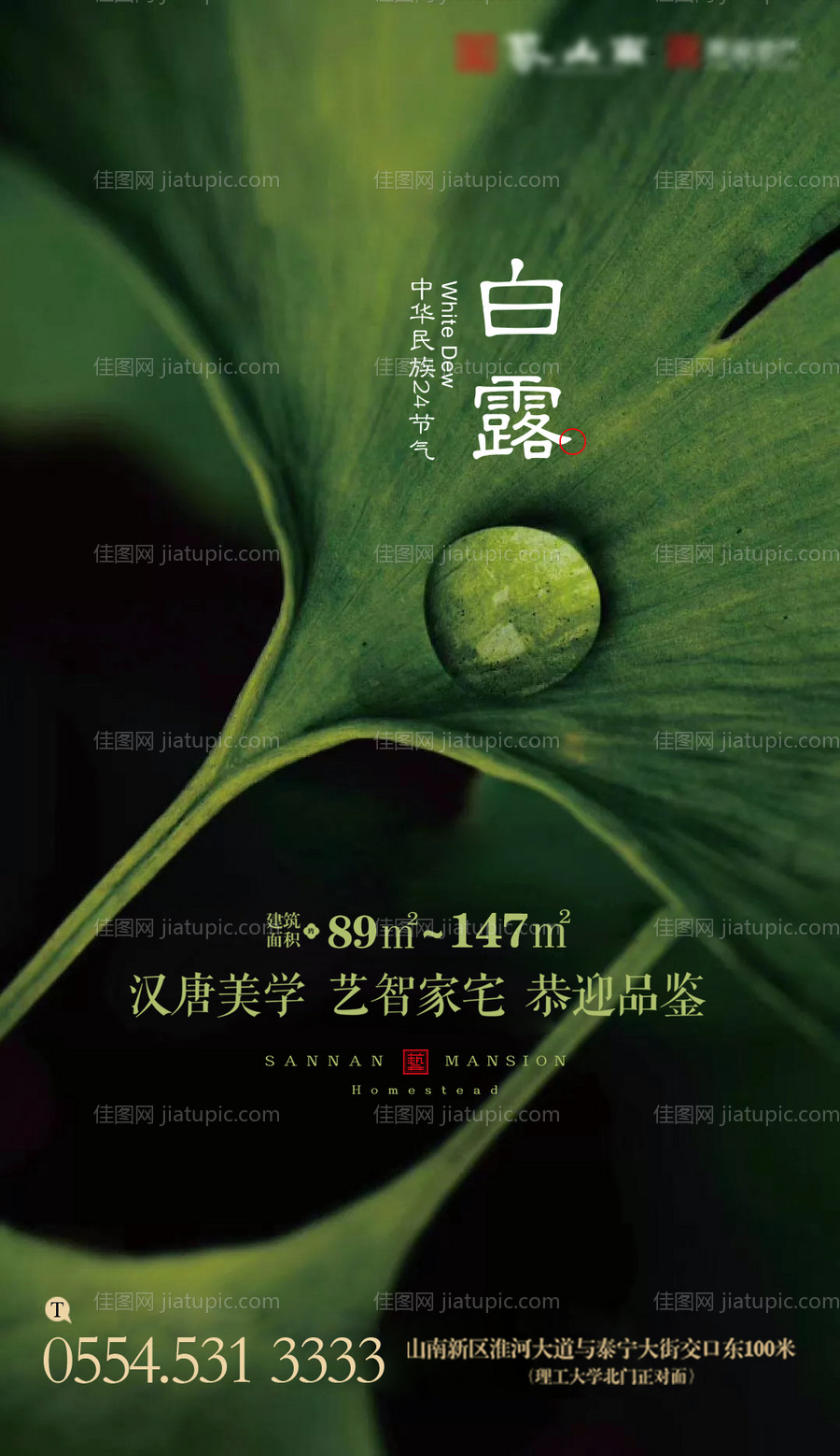 白露节气海报-源文件