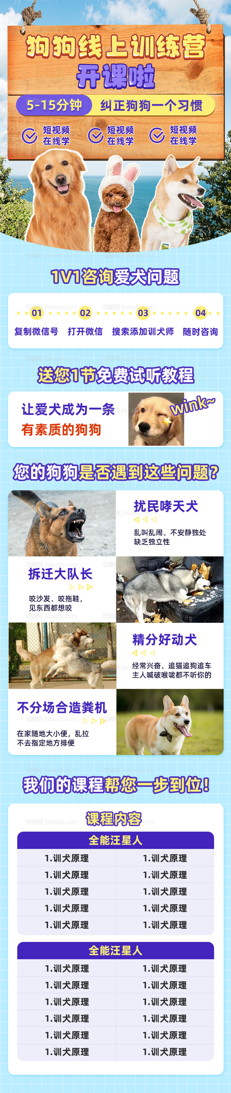 宠物课程长图-源文件