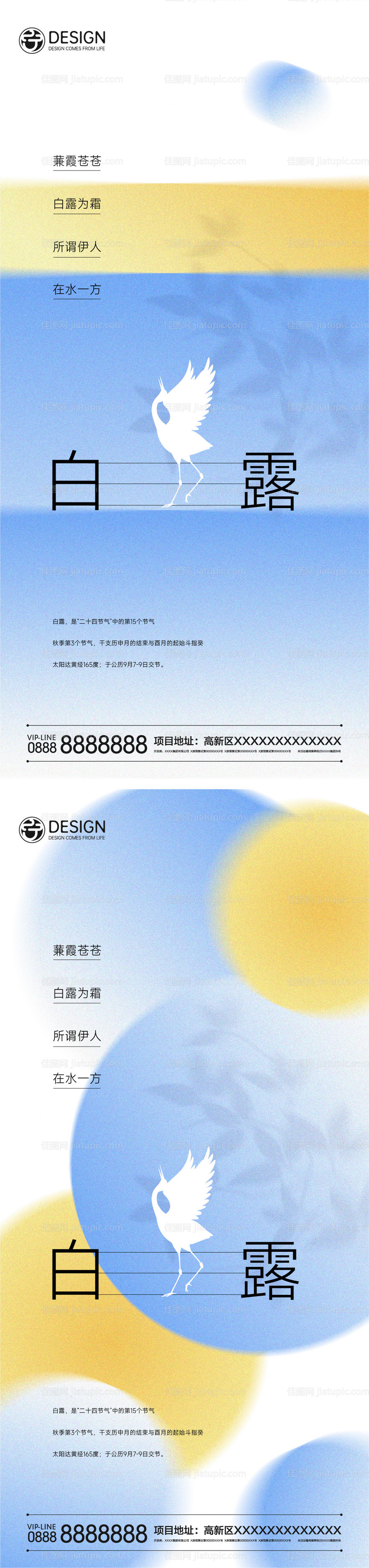 白露节气系列海报-源文件