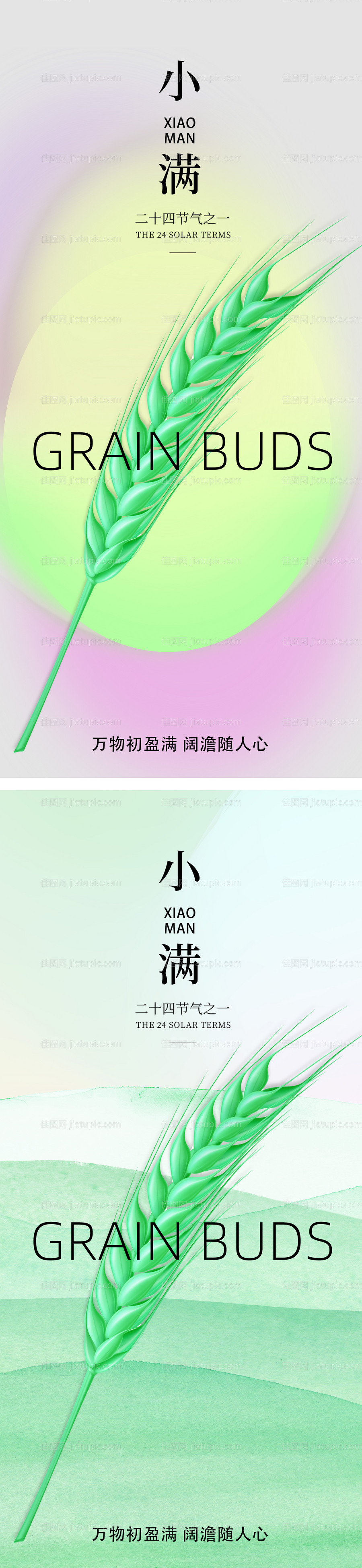 小满节气系列海报-源文件