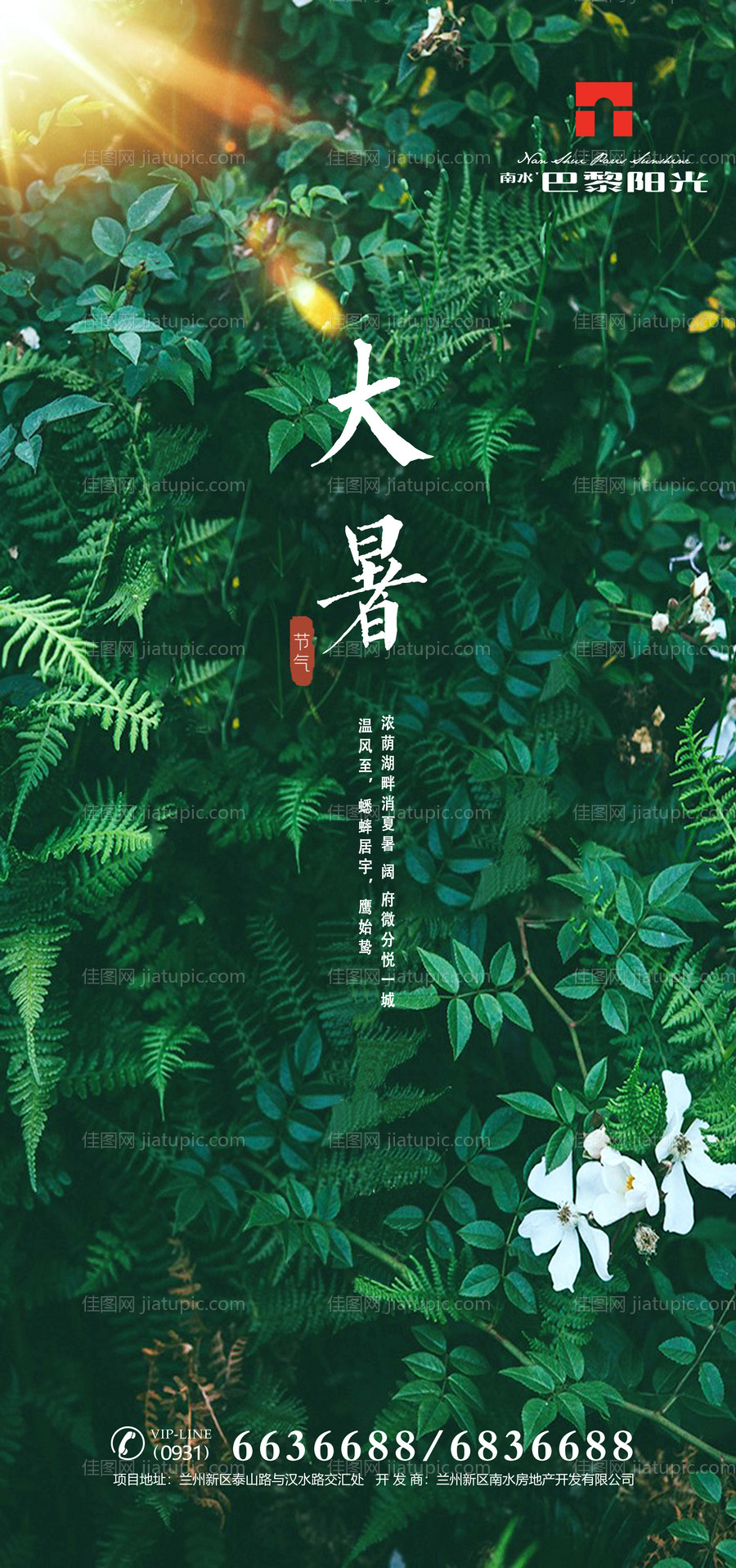 绿色大暑节气海报-源文件