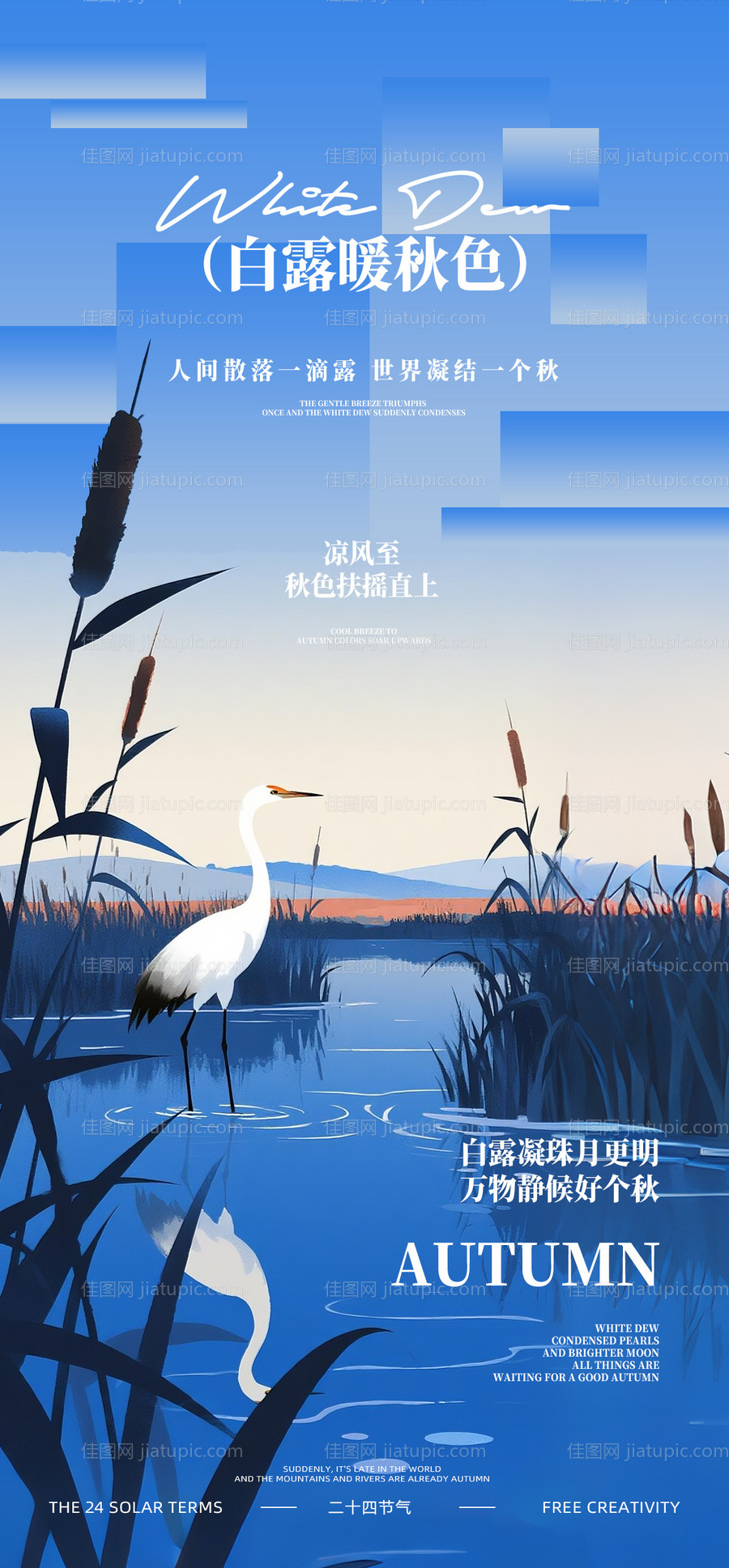 白露节气插画海报-源文件