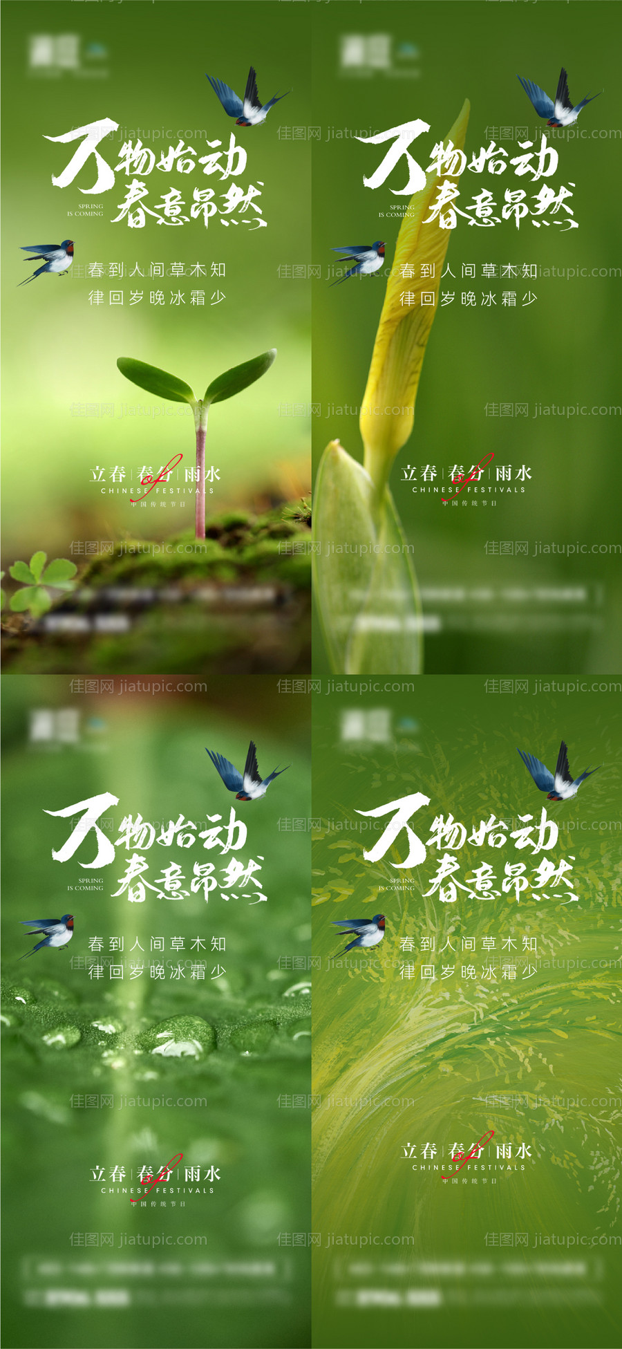 立春雨水春分节气系列海报-源文件