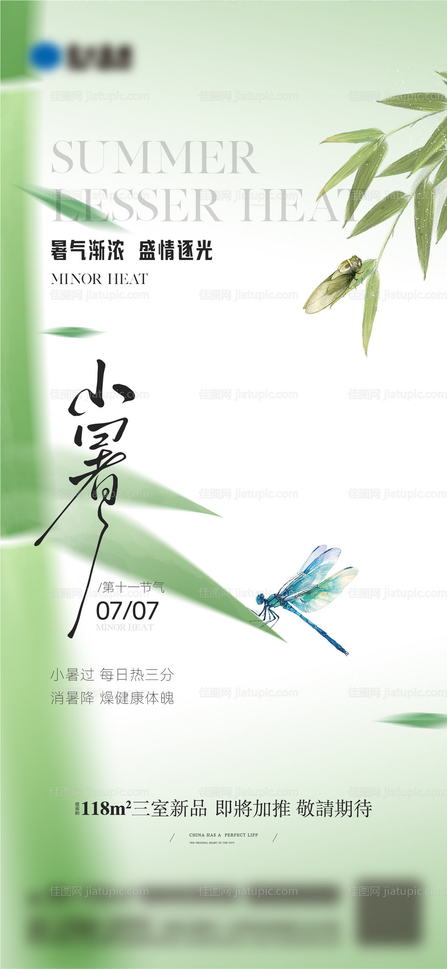 小暑节气海报-源文件