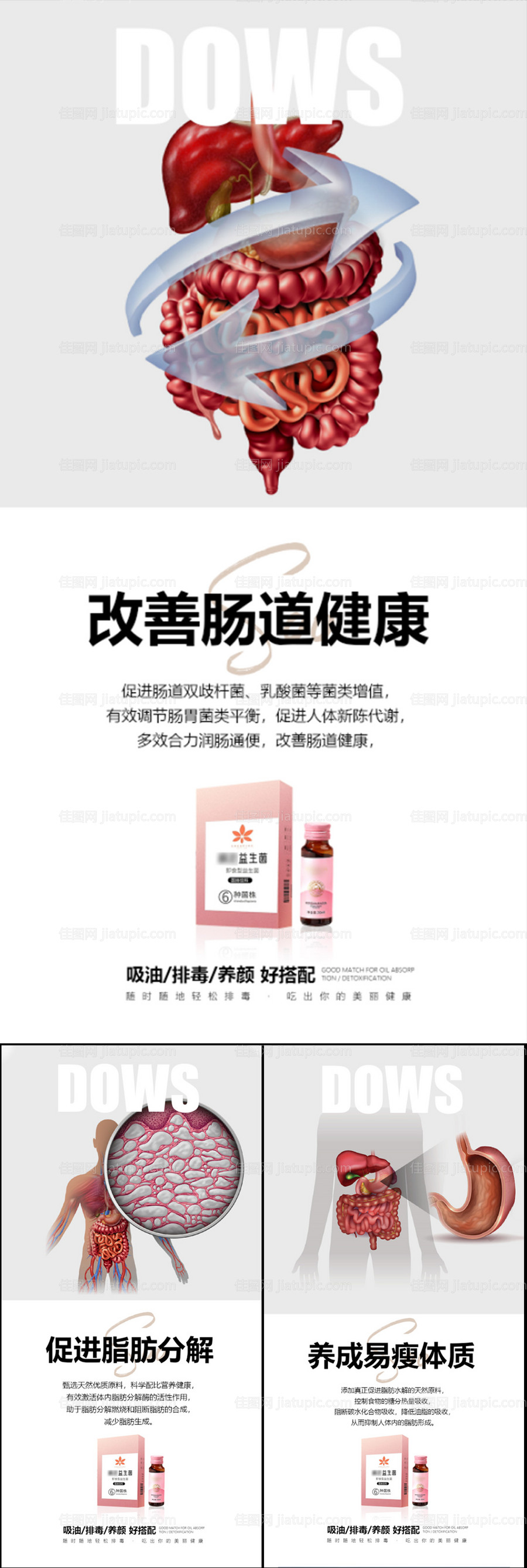 益生菌酵素减肥塑身价值点系列海报-源文件