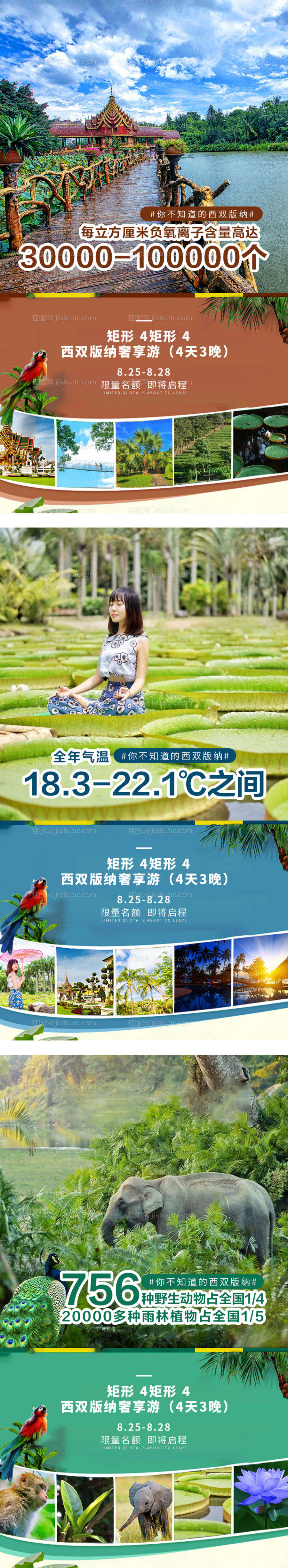 西双版纳旅游系列海报-源文件