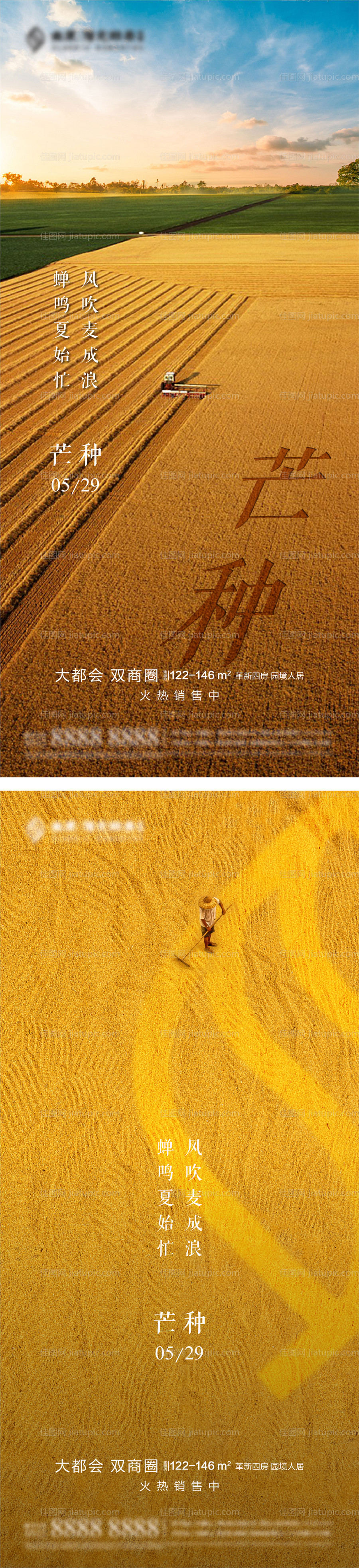 芒种节气系列海报-源文件